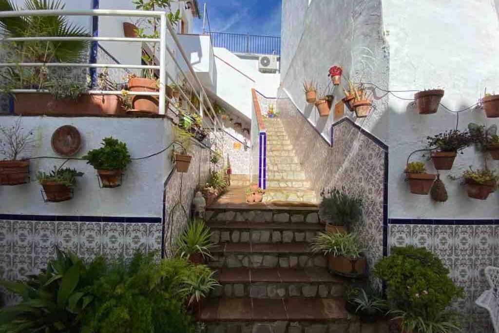 Apartment Buddhaloungeapartments 3 Buddhaloungeapartments #3 Primera Planta Ronda