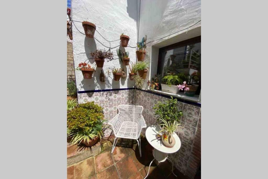 Apartment Buddhaloungeapartments 3 Buddhaloungeapartments #3 Primera Planta *
