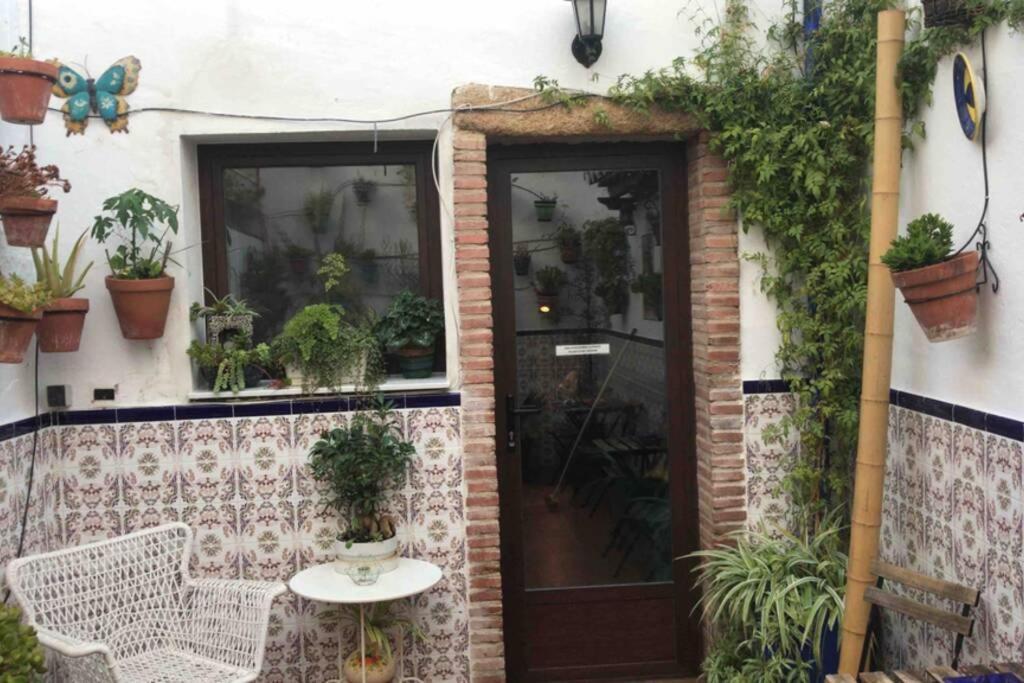 Buddhaloungeapartments 3 Buddhaloungeapartments #3 Primera Planta Ronda