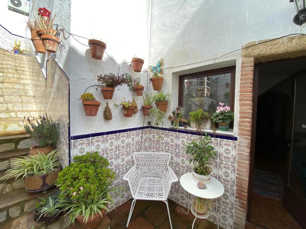 Apartment Buddhaloungeapartments 3 Buddhaloungeapartments #3 Primera Planta